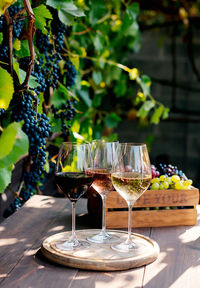 Close-up of drink on table