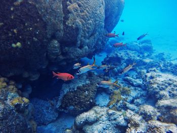 Rock formation in sea