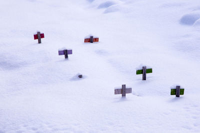 Scattering of small wooden animal grave markers half-covered in fresh snow 