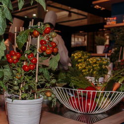 Vegetables for sale in market