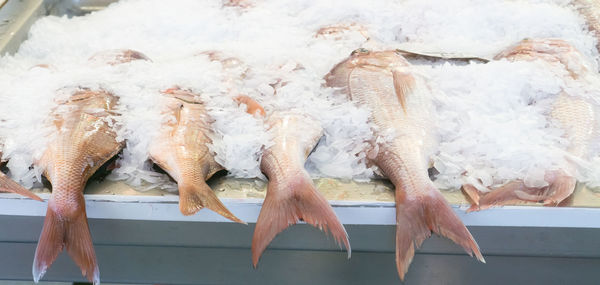 High angle view of fish for sale in market