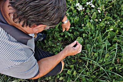 High angle view of man picking plant on field