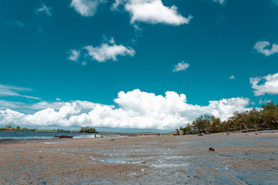 Tropical beach with rocks, lush vegetation on pemba island