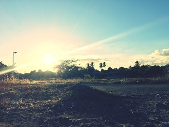 Scenic view of field against sky during sunset