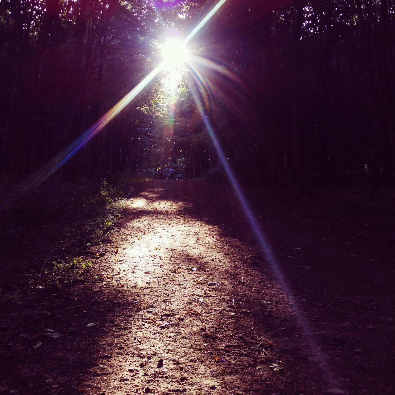 lens flare, the way forward, sunbeam, sun, sunlight, night, tree, diminishing perspective, road, street, nature, tranquility, vanishing point, outdoors, asphalt, wet, season, no people, falling, illuminated