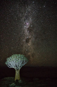 Light painting against sky at night