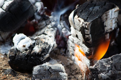 Close-up of bonfire on wooden log