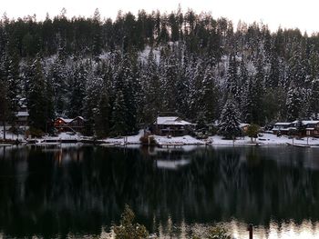 Reflection of trees in lake during winter