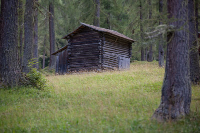 View of wooden house in forest