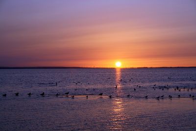 Scenic view of sunset over sea