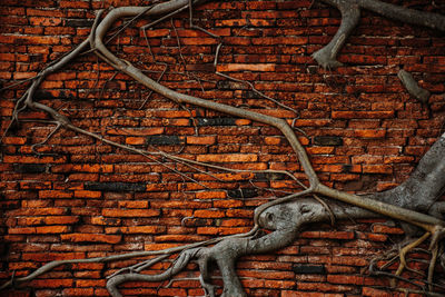 Close-up of a brick wall