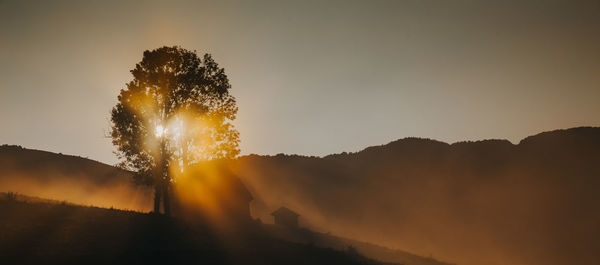 Silhouette tree on mountain against sky during sunset