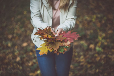 Midsection of woman holding dry maple leaves while standing on field