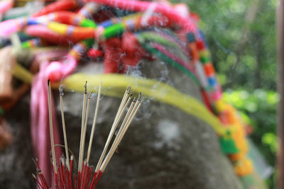 Close-up of multi colored temple
