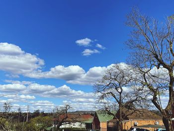 Low angle view of trees and building against sky