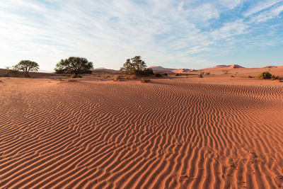 Sand dune in desert against sky