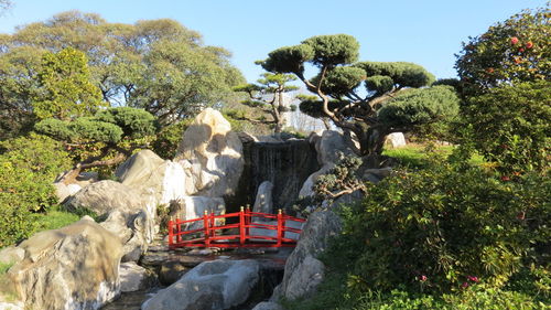 View of trees and rocks in water