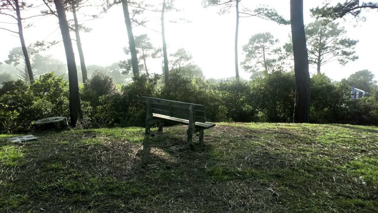 EMPTY BENCH IN PARK AGAINST SKY IN BACKGROUND