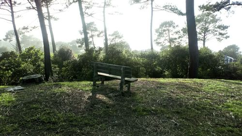 Empty benches in park against sky