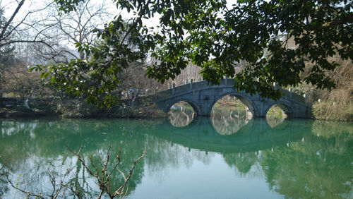 Reflection of trees in river