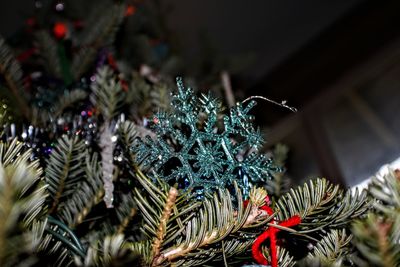 Close-up of christmas tree