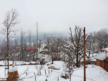 Bare trees on snow covered land against sky