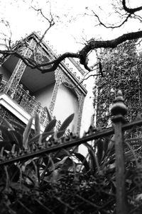 Low angle view of building and trees against sky