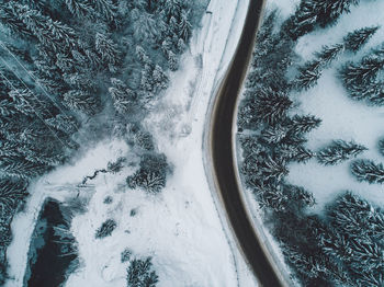 High angle view of snow covered trees in forest