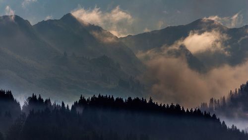 Scenic view of trees and mountains surrounded by fog