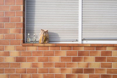 Cat standing against brick wall