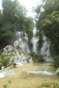 Scenic view of waterfall in forest
