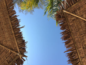 Low angle view of beach umbrellas against sky