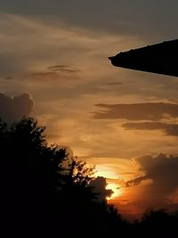 Low angle view of silhouette trees against orange sky