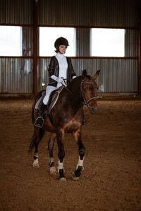 Man riding horse in stable