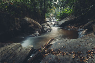 Stream flowing through rocks in forest