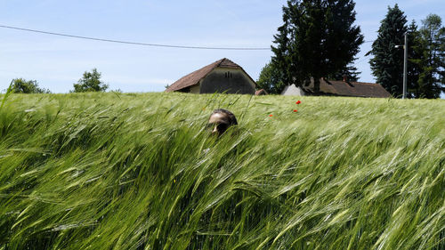 Woman hiding amidst plants on field