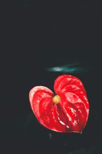 Close-up of strawberry over black background