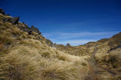 Walking up the isthmus peak through a dried and yellow path of grass