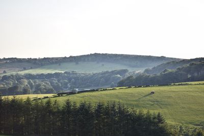 Scenic view of field against clear sky