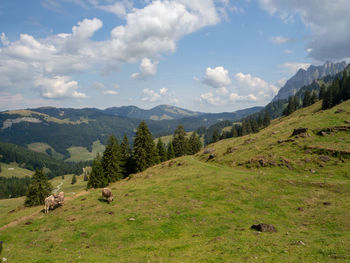 Scenic view of landscape against sky