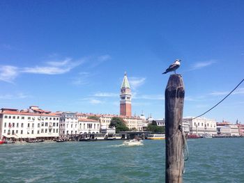 Seagull perching on wooden post in canal against buildings