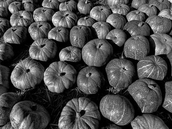 large group of objects