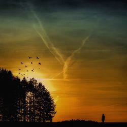 Low angle view of silhouette bird flying in sky