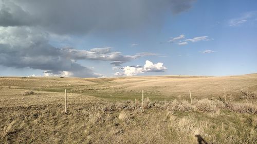 Spring on the prairie 