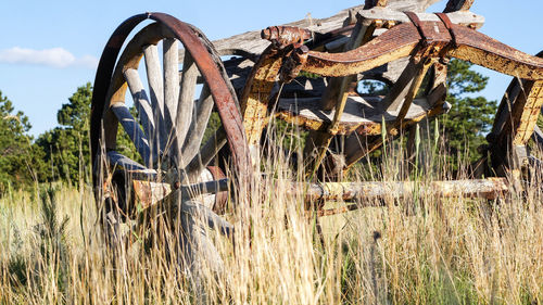 Abandoned cart on field