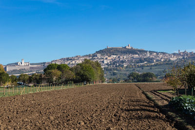 Scenic view of field against clear blue sky