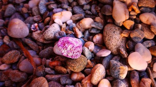 Full frame shot of pebbles