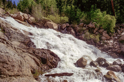 Scenic view of stream flowing through rocks in forest