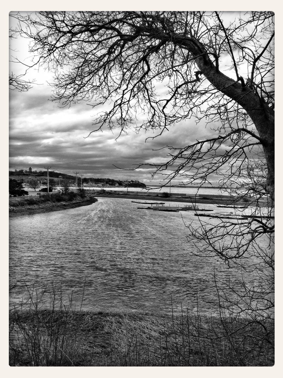 transfer print, water, auto post production filter, bare tree, sky, tranquility, tranquil scene, tree, scenics, nature, branch, sea, beauty in nature, river, day, lake, outdoors, cloud, no people, cloud - sky