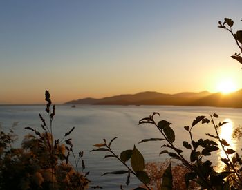 Scenic view of lake at sunset